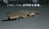 YE0619_20_国内站街女被刺死路边手里还抓着几十块钱11P 高清图片